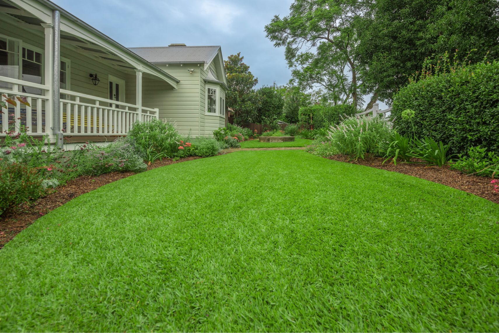 How to lay a lawn The Lawn Solution