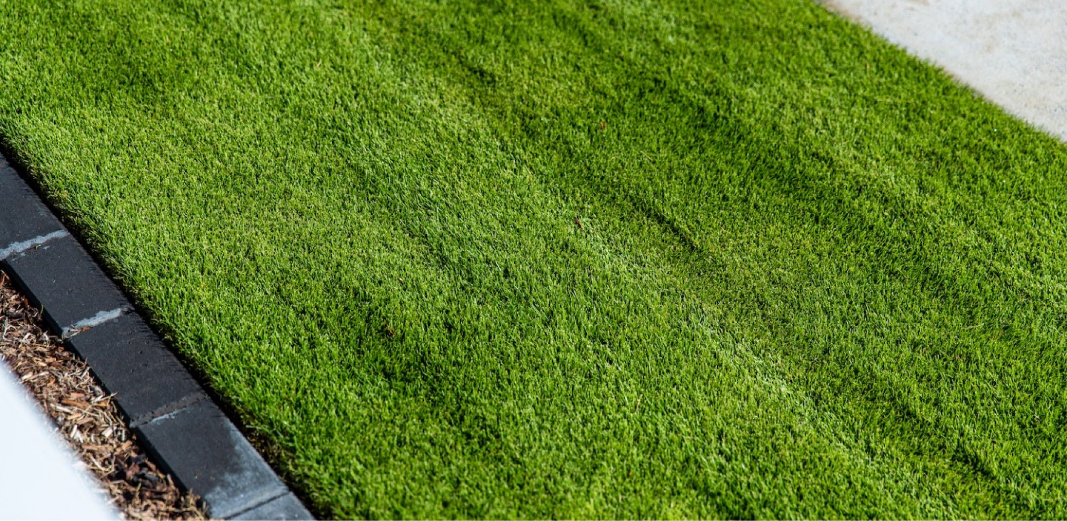 The best lawn solution for manicured gardens