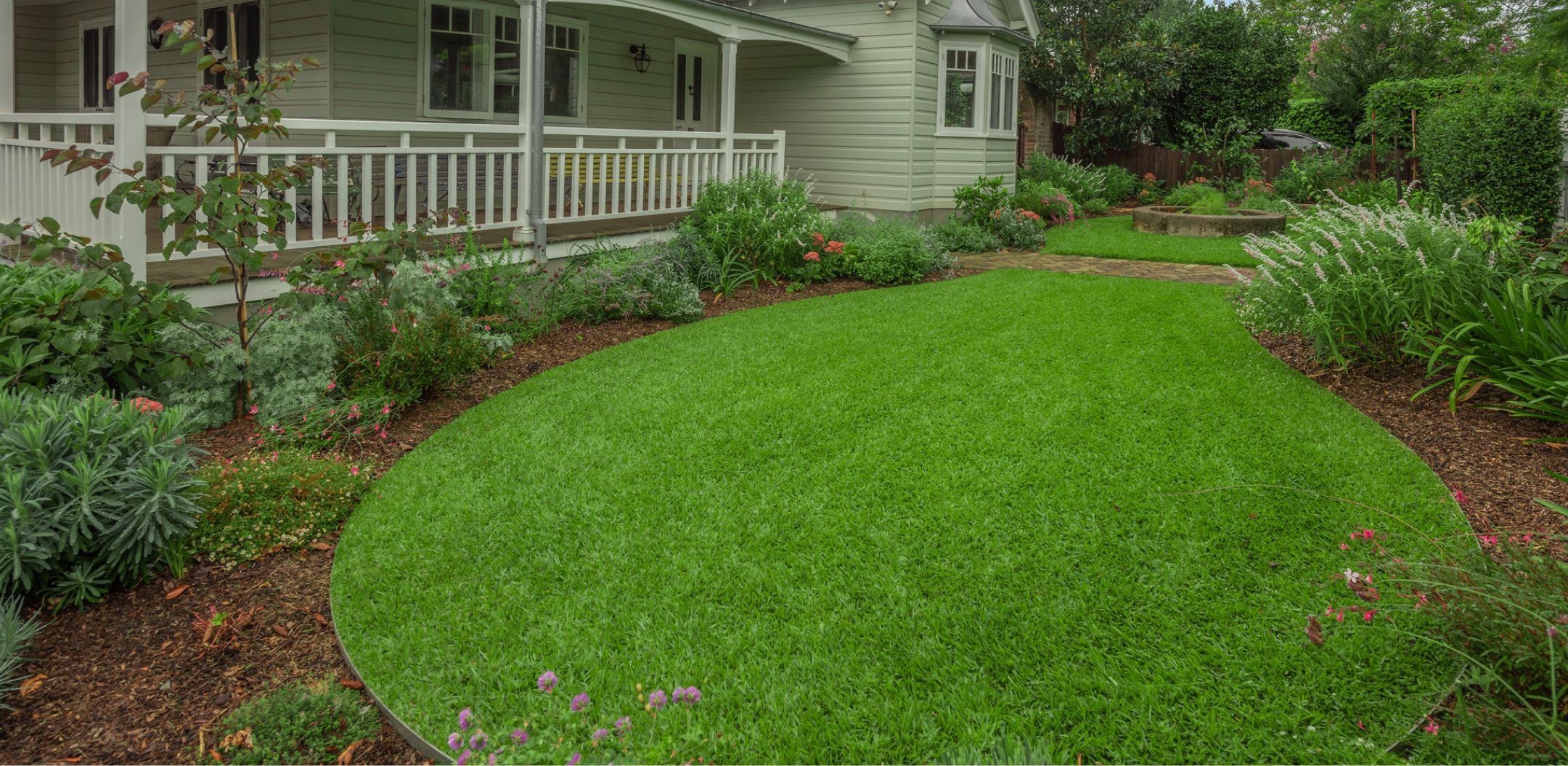 A great lawn solution for a Sydney garden